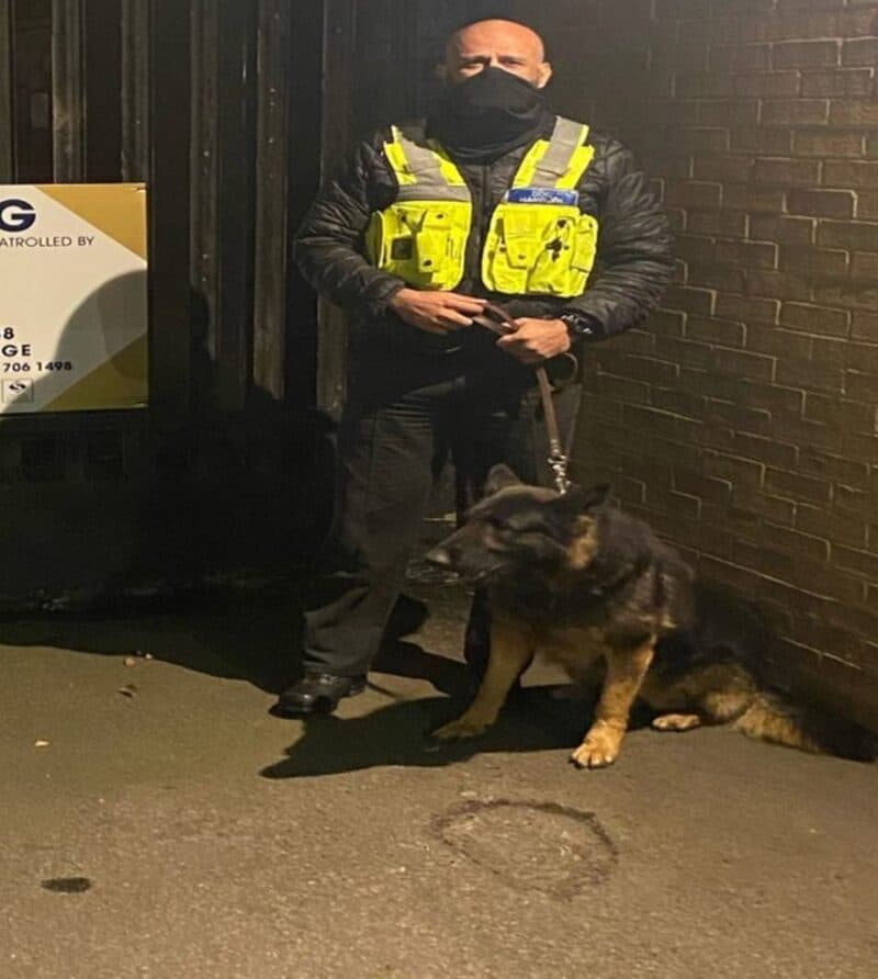 Security dog with handler