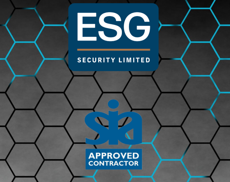 Untitled design (15)